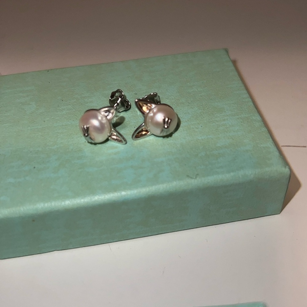 👩‍🏫📚Education Fundraiser🎓SILVER CUTE CAT STUD POST EARRINGS